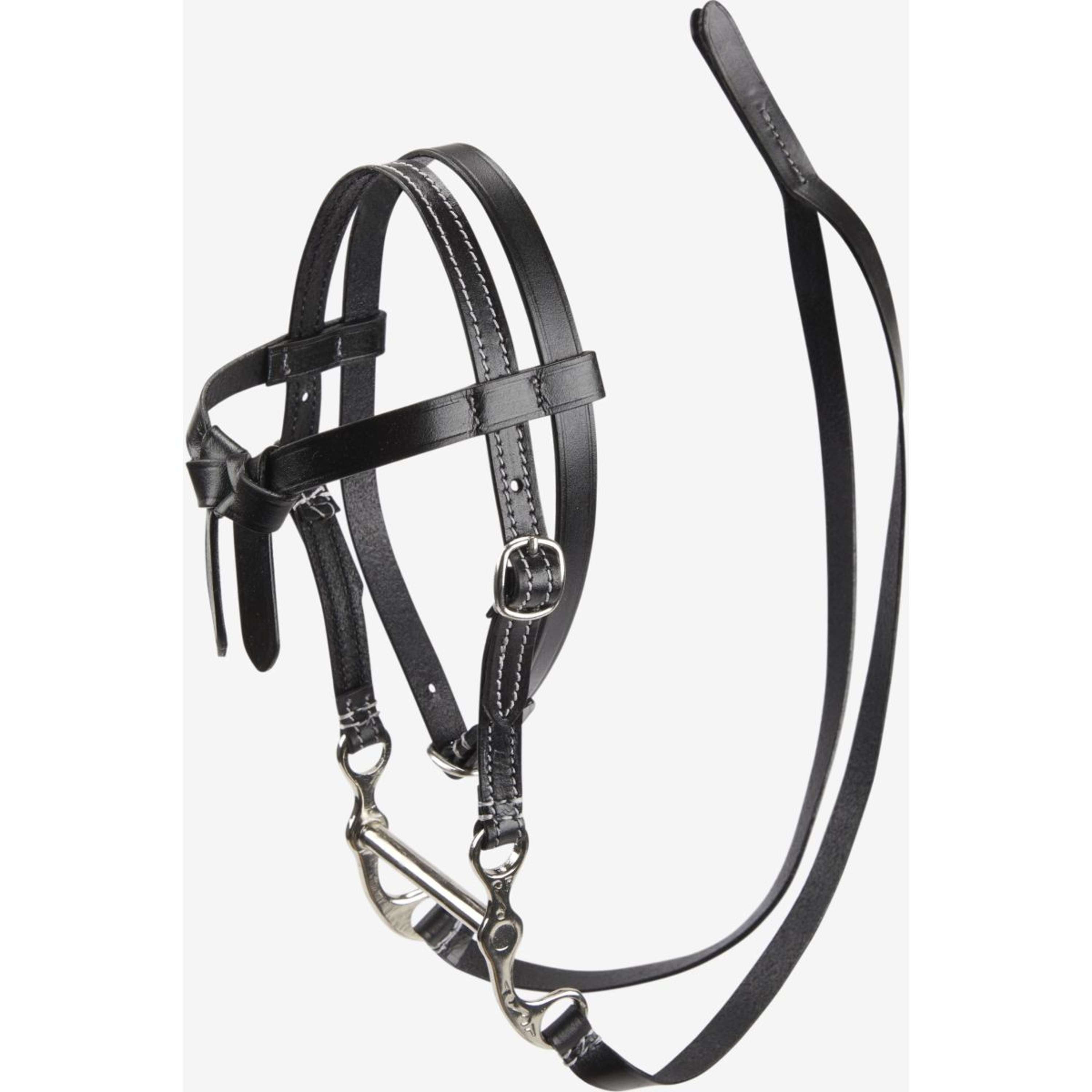 Equiline Hoofdstel gecombineerde neusriem Pony Bruin - Horse Riders Equiline Hoofdstel gecombineerde neusriem Pony Bruin - Horse Riders