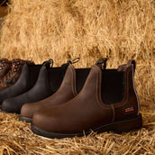 Ariat Jodhpurs Groundbreaker Chelsea Waterproof Steel Toe Heren Bruin Ariat Jodhpurs Groundbreaker Chelsea Waterproof Steel Toe Heren Bruin
