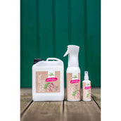 Bense & Eicke Natural Finish Bense & Eicke Natural Finish