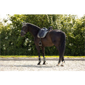 BR Peesbeschermers Event Neopreen Voering Mulled Basil BR Peesbeschermers Event Neopreen Voering Mulled Basil