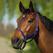 Riding World Halster Navy Riding World Halster Navy