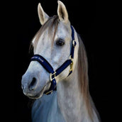 Back on Track Halster Werano Blauw Back on Track Halster Werano Blauw