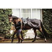 Back on Track Uitrijdeken Sammy Zwart Back on Track Uitrijdeken Sammy Zwart