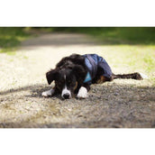 Back on Track Cooling Rug Blauw Back on Track Cooling Rug Blauw