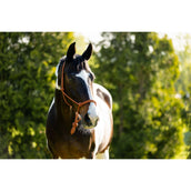 BR Touwhalster Klara Mecca Orange BR Touwhalster Klara Mecca Orange