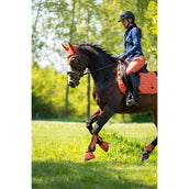 BR Zomerjas Katrin Pageant Blue BR Zomerjas Katrin Pageant Blue