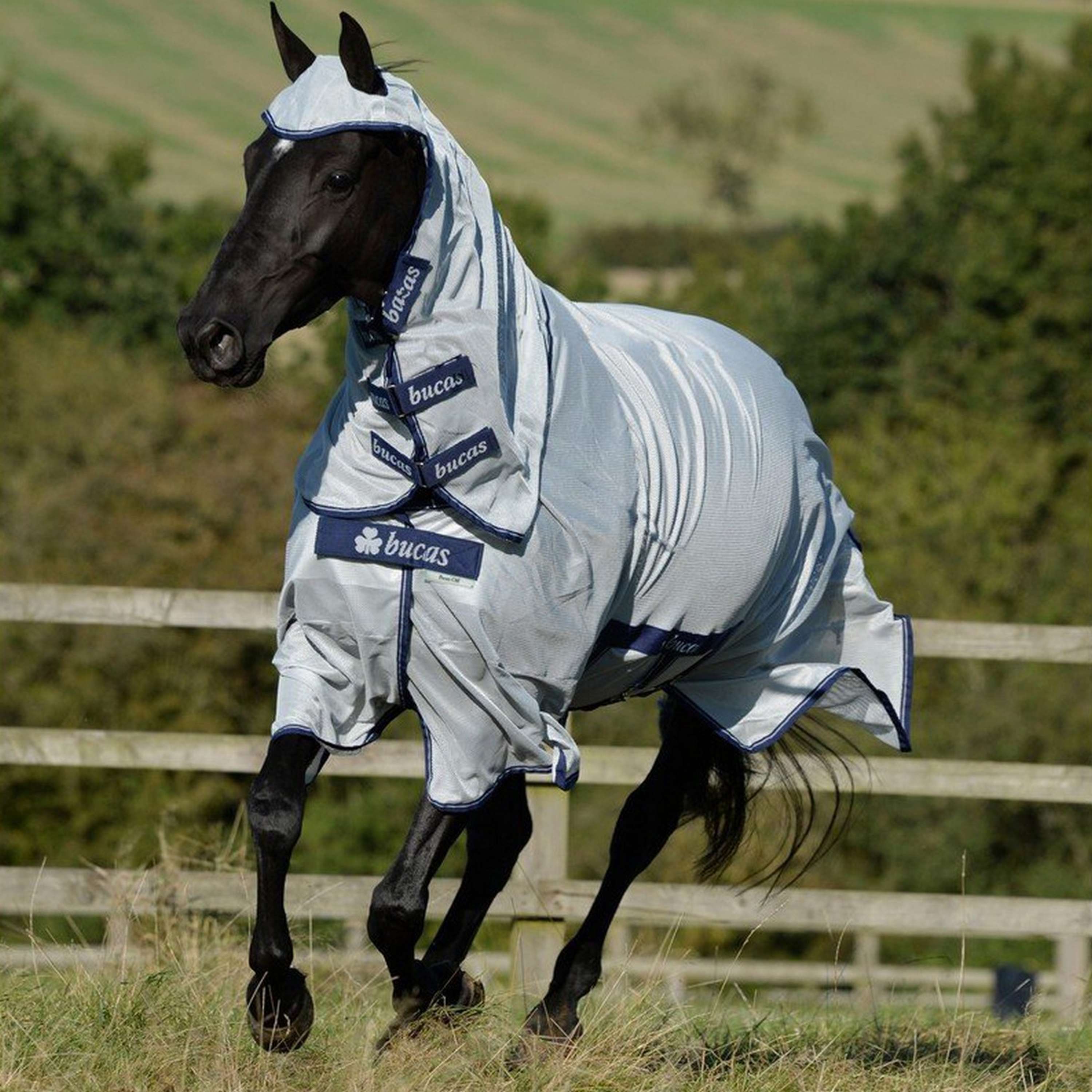 Bucas Buzz Off Full Neck - Ruitersportwinkel de Vlashoeve Koewacht Bucas Buzz Off Full Neck - Ruitersportwinkel de Vlashoeve Koewacht