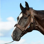 Bucas Halster Comfort Brown Bucas Halster Comfort Brown