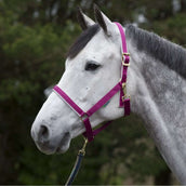 Bucas Halster Dublin Berry/Silver Bucas Halster Dublin Berry/Silver