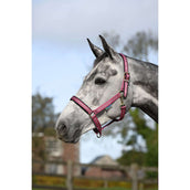 Bucas Halster Dublin Veulen Raspberry Bucas Halster Dublin Veulen Raspberry