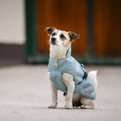 Bucas Freedom Dog Rug Turquoise Bucas Freedom Dog Rug Turquoise