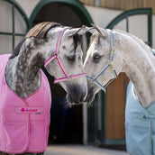 Bucas Halster Dublin Turquoise Bucas Halster Dublin Turquoise