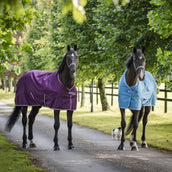 Bucas Freedom Turnout Light 0g Blueberry Bucas Freedom Turnout Light 0g Blueberry