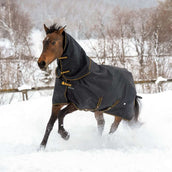 Bucas Irish Turnout Light 50g + Neck Black/Gold Bucas Irish Turnout Light 50g + Neck Black/Gold