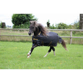 Bucas Irish Turnout 250g Black/Gold Bucas Irish Turnout 250g Black/Gold