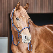 Catago Leren Halster Navy Catago Leren Halster Navy