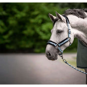 Cavallo Halster CavalJero Soft Aqua Cavallo Halster CavalJero Soft Aqua