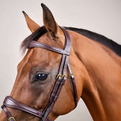 Dyon Hoofdstel Anatomic Flash Bruin Dyon Hoofdstel Anatomic Flash Bruin