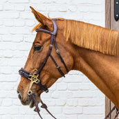 Dyon Hoofdstel Hackamore Bruin Dyon Hoofdstel Hackamore Bruin