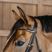 Dyon Frontriem Braided Zwart Dyon Frontriem Braided Zwart