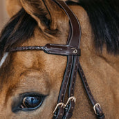 Dyon Frontriem Braided Bruin Dyon Frontriem Braided Bruin
