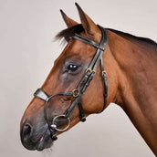 Dyon Hoofdstel Hybrid Zwart Dyon Hoofdstel Hybrid Zwart