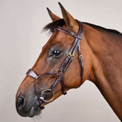 Dyon Hoofdstel Hybrid Bruin Dyon Hoofdstel Hybrid Bruin