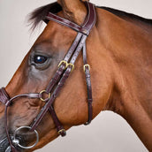 Dyon Hoofdstel Hybrid Bruin Dyon Hoofdstel Hybrid Bruin