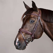 Dyon Hoofdstel Flash Pull-Back Gevlochten Bruin Dyon Hoofdstel Flash Pull-Back Gevlochten Bruin