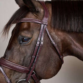 Dyon Hoofdstel Flash Pull-Back Gevlochten Bruin Dyon Hoofdstel Flash Pull-Back Gevlochten Bruin