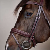 Dyon Hoofdstel Flash Pull-Back Gevlochten Bruin Dyon Hoofdstel Flash Pull-Back Gevlochten Bruin