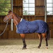 Dyon Staldeken Summer Navy Dyon Staldeken Summer Navy