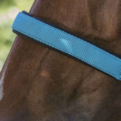 Norton Halster Fluo Onderlegd Blauw Norton Halster Fluo Onderlegd Blauw