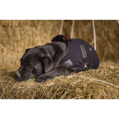 Diego & Louna Hondendeken Polar Zwart Diego & Louna Hondendeken Polar Zwart