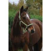 EQUITHÈME Halster Spring Nylon Lichtgroen EQUITHÈME Halster Spring Nylon Lichtgroen