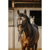 Eric Thomas Hoofdstel Work Zwart Eric Thomas Hoofdstel Work Zwart