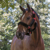 Norton Halster Volledig Synthetisch Schapenvacht Zwart/Rood Norton Halster Volledig Synthetisch Schapenvacht Zwart/Rood