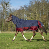 EQUITHÈME Outdoordeken Tyrex 1200D 200g met Hals Navy/Bordeaux EQUITHÈME Outdoordeken Tyrex 1200D 200g met Hals Navy/Bordeaux
