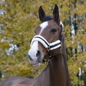 Norton Halster Confort Zwart Norton Halster Confort Zwart