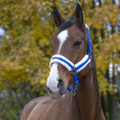 Norton Halster Confort Fel Blauw Norton Halster Confort Fel Blauw