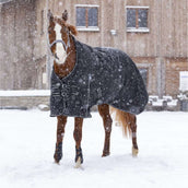 Riding World Outdoordeken Oxford 220g Zwart Riding World Outdoordeken Oxford 220g Zwart