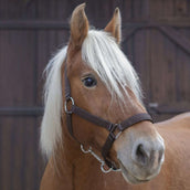 Norton Halster Pro Bruin Norton Halster Pro Bruin