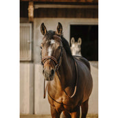 Eric Thomas Hoofdstel Work Havana Eric Thomas Hoofdstel Work Havana