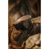 Eric Thomas Hoofdstel Work Havana Eric Thomas Hoofdstel Work Havana