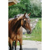 Norton Hoofdstel Freedom Havana Norton Hoofdstel Freedom Havana