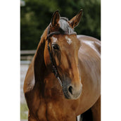 Norton Hoofdstel Freedom Havana Norton Hoofdstel Freedom Havana