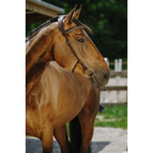 Norton Hoofdstel Freedom Havana Norton Hoofdstel Freedom Havana