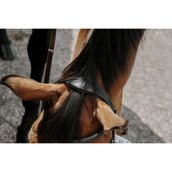 Norton Bitloos Hoofdstel Zwart Norton Bitloos Hoofdstel Zwart