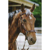 Norton Bitloos Hoofdstel Havana Norton Bitloos Hoofdstel Havana