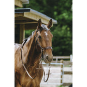 Norton Bitloos Hoofdstel Havana Norton Bitloos Hoofdstel Havana